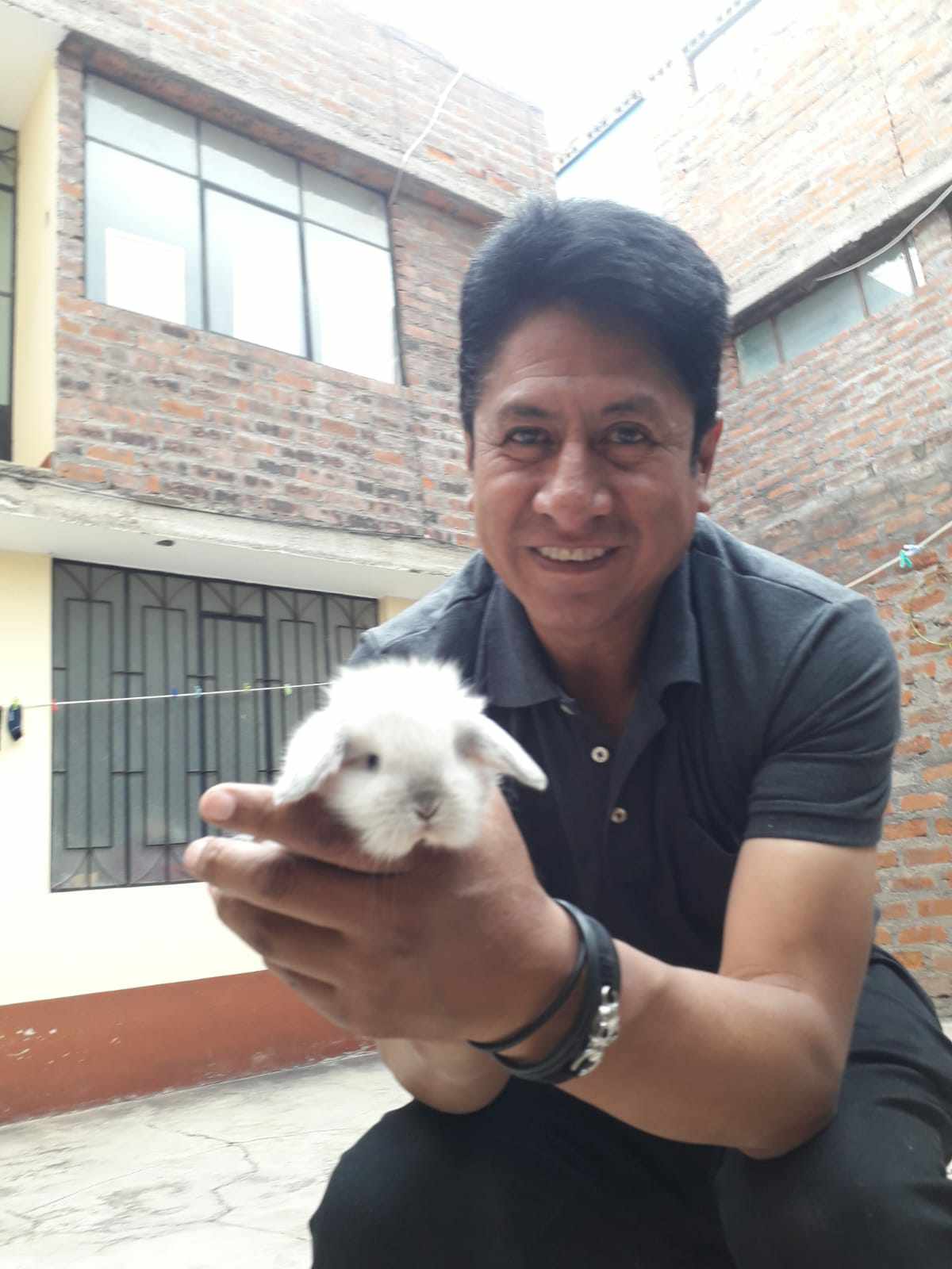 Imagen de Conejo